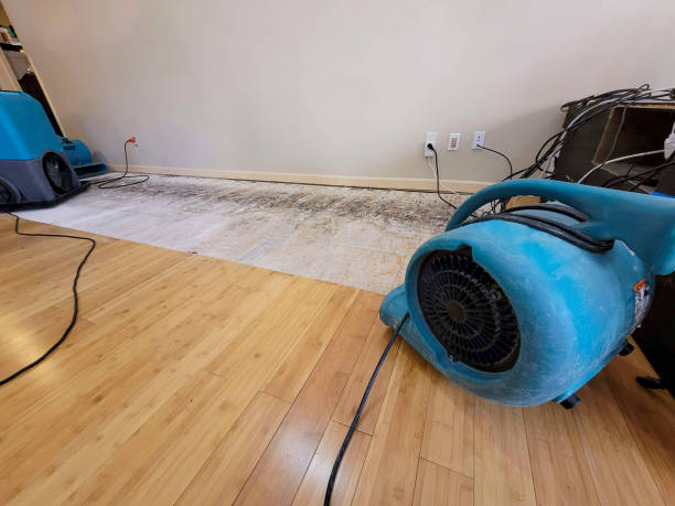 Professional Flood Damage Cleanup technician working in Buchanan, VA